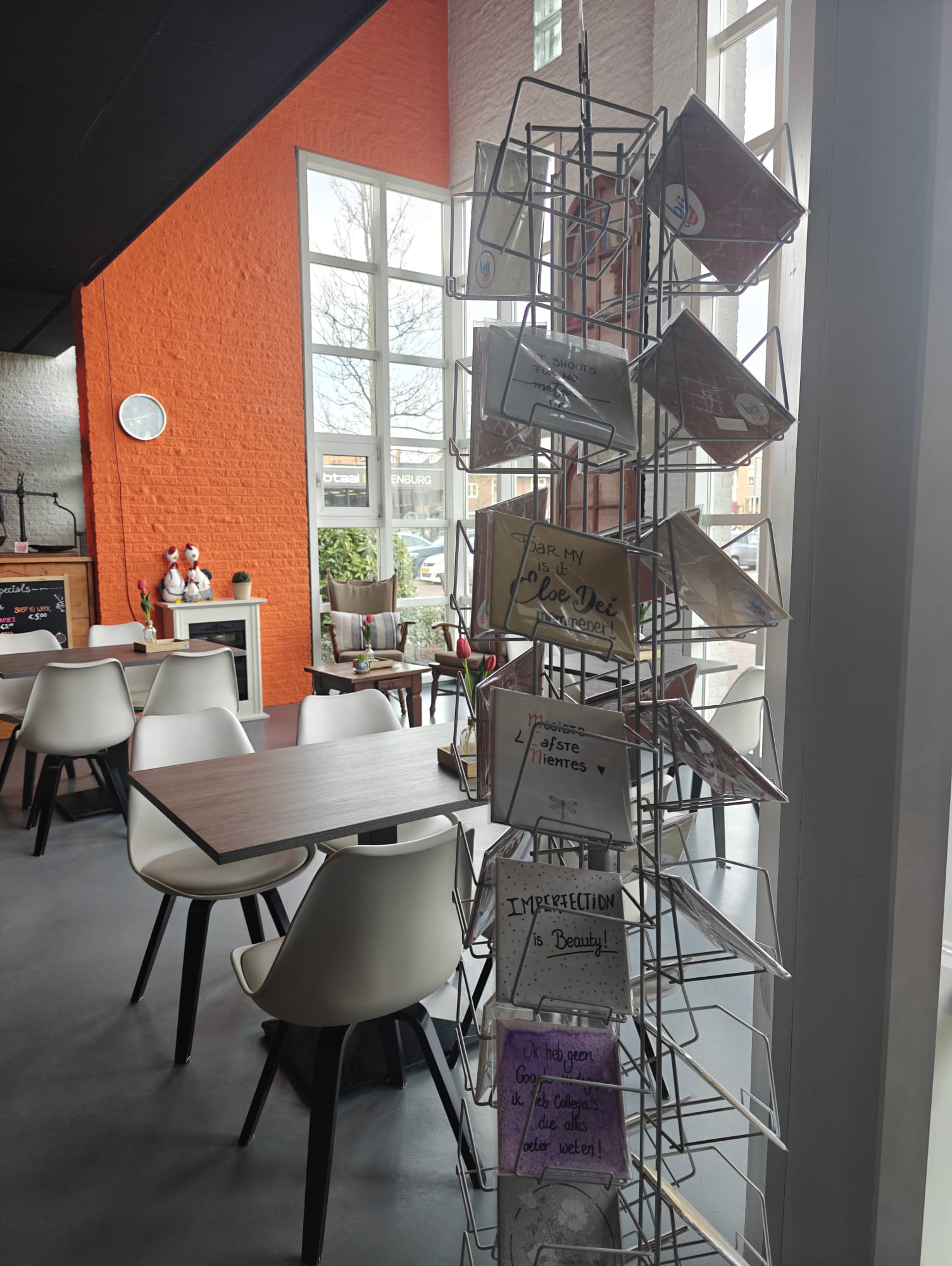 WhatsApp Image 2026-02-24 at 11.52.30 (2)